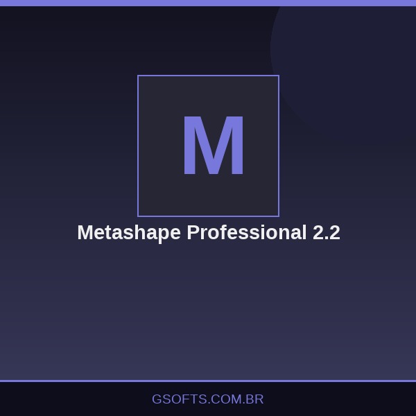 Metashape Professional 2.2